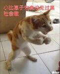 漠言少的头像-lovetrain