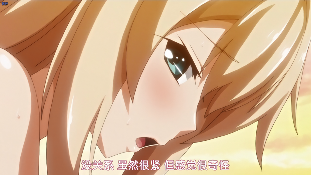 6e2c7168-b727-483b-83e5-e8dd4e949fea