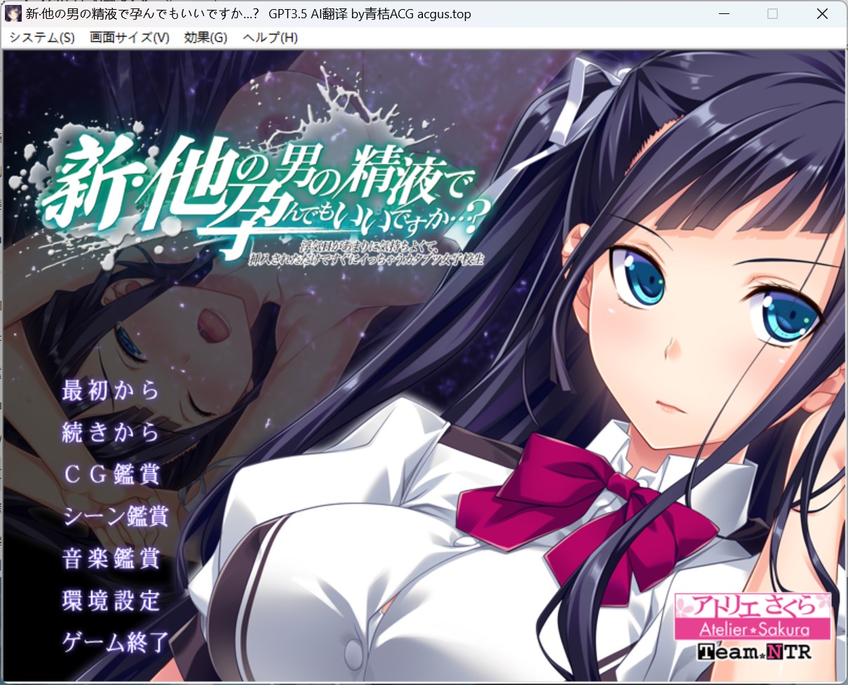 【PC硬盘+KRKR2+全CG存档】【GPT3.5 AI翻译】新·他の男の精液で孕んでもいいですか…？-lovetrain