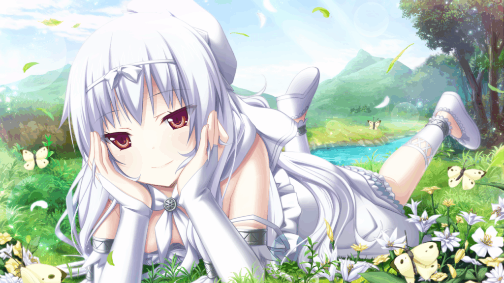 EV511AA