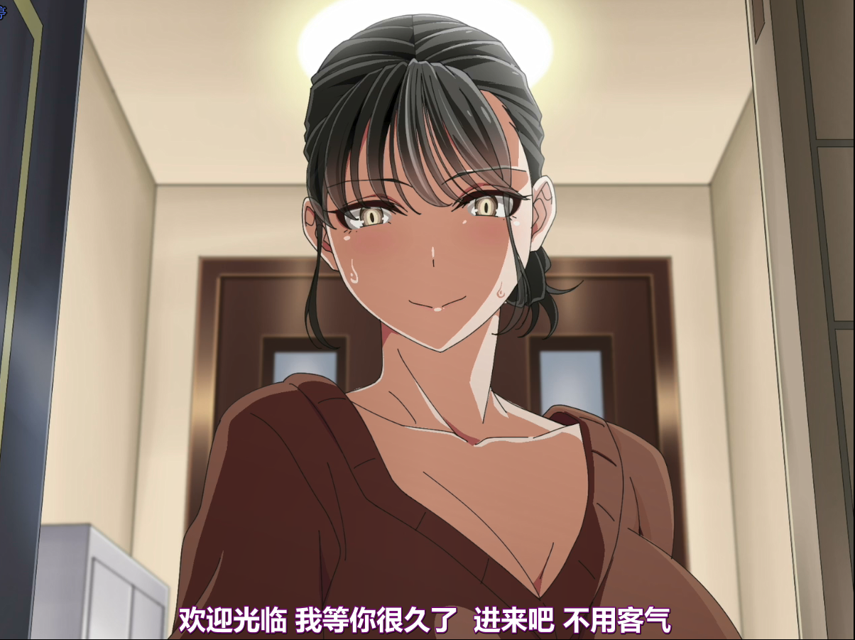 【2D动画熟肉】【あわこと屋 】作品全集-lovetrain