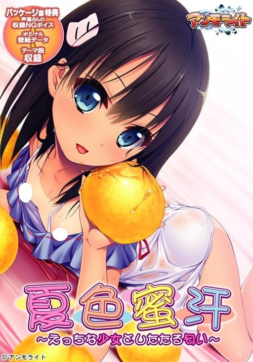 [拔作ADV/汉化/PC+KRKR模拟器] 夏色蜜汗～エロ的少女与甜甜的体香汉化版+全CG [600M] - lovetrain-lovetrain
