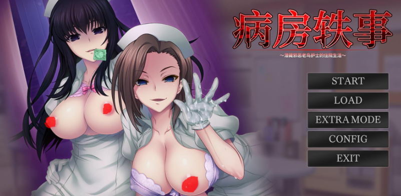 有没有大佬求一份有汉化的病房轶事2-lovetrain